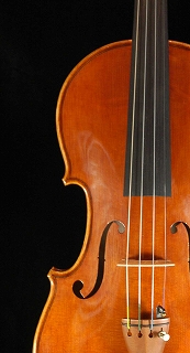 violin